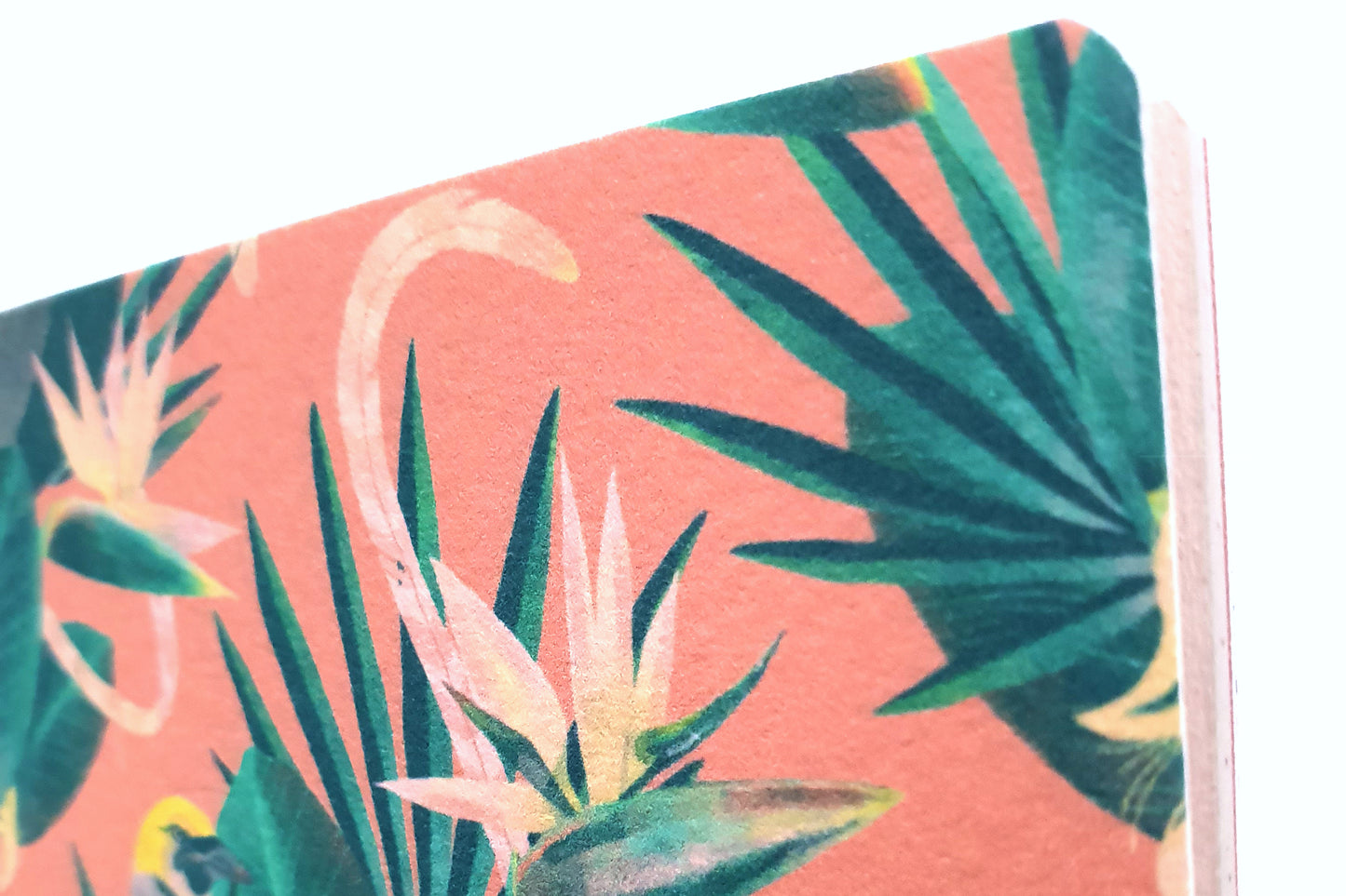 Bird of Paradise Pocket Notizbuch