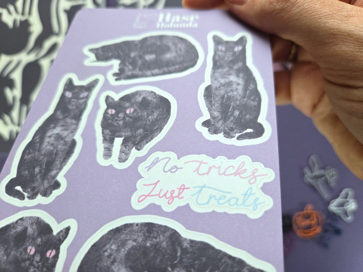 Black Cat Pocket Notebook Gift Set